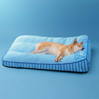 Chien Shiba installé sur le lit orthopédique Quiétou, tête posée sur le rebord