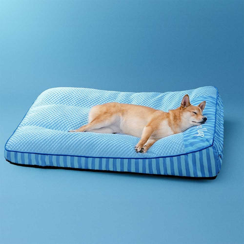 Chien Shiba installé sur le lit orthopédique Quiétou, tête posée sur le rebord
