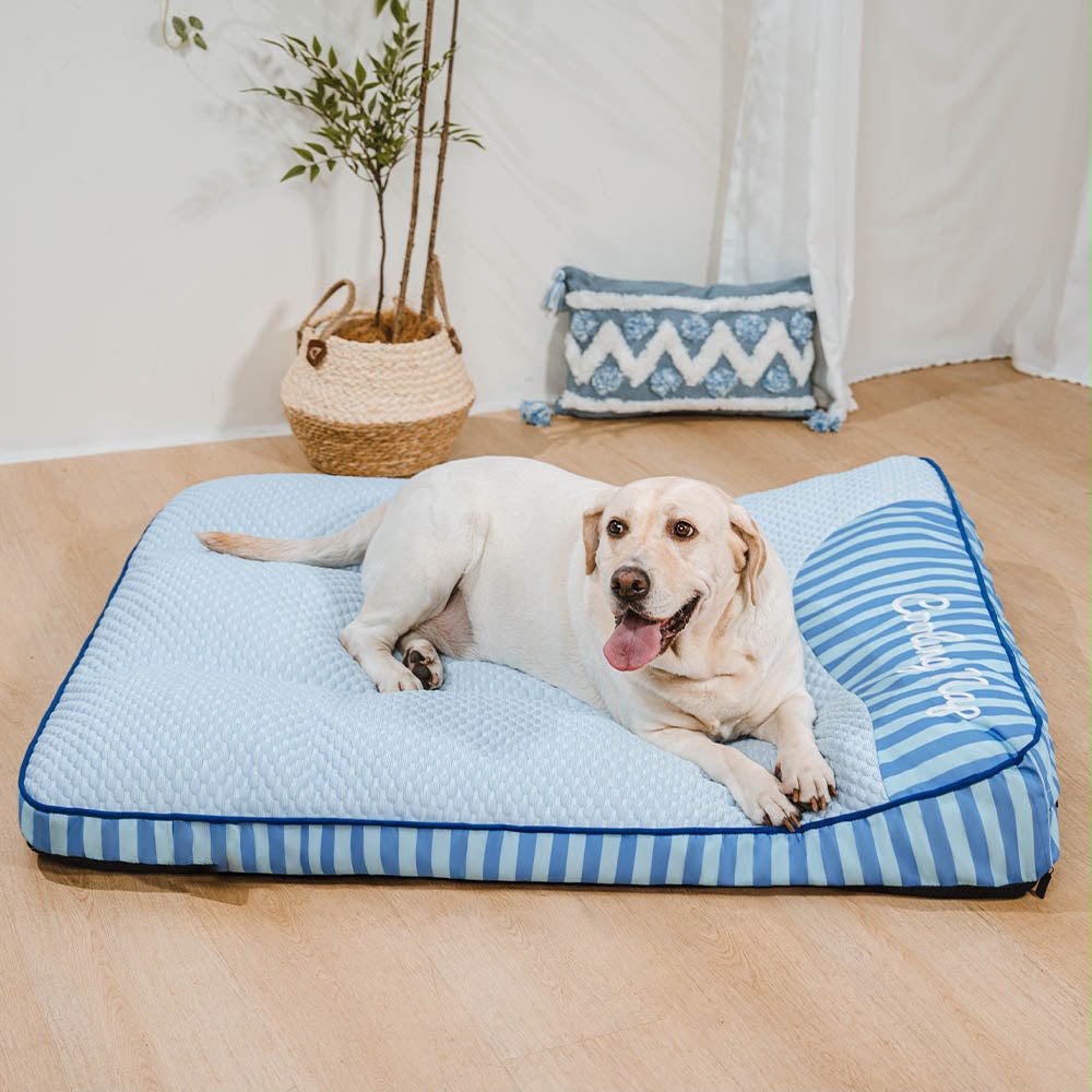 Labrador allongé sur le lit orthopédique Quiétou