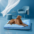 Chien au repos sur le Cocon Quiétou dans une chambre lumineuse bleu ciel