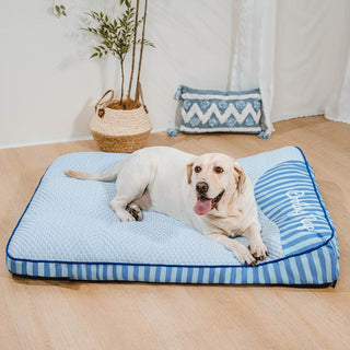 Labrador allongé sur le lit orthopédique Quiétou bleu