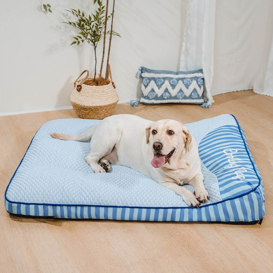 Labrador allongé sur le lit orthopédique Quiétou bleu