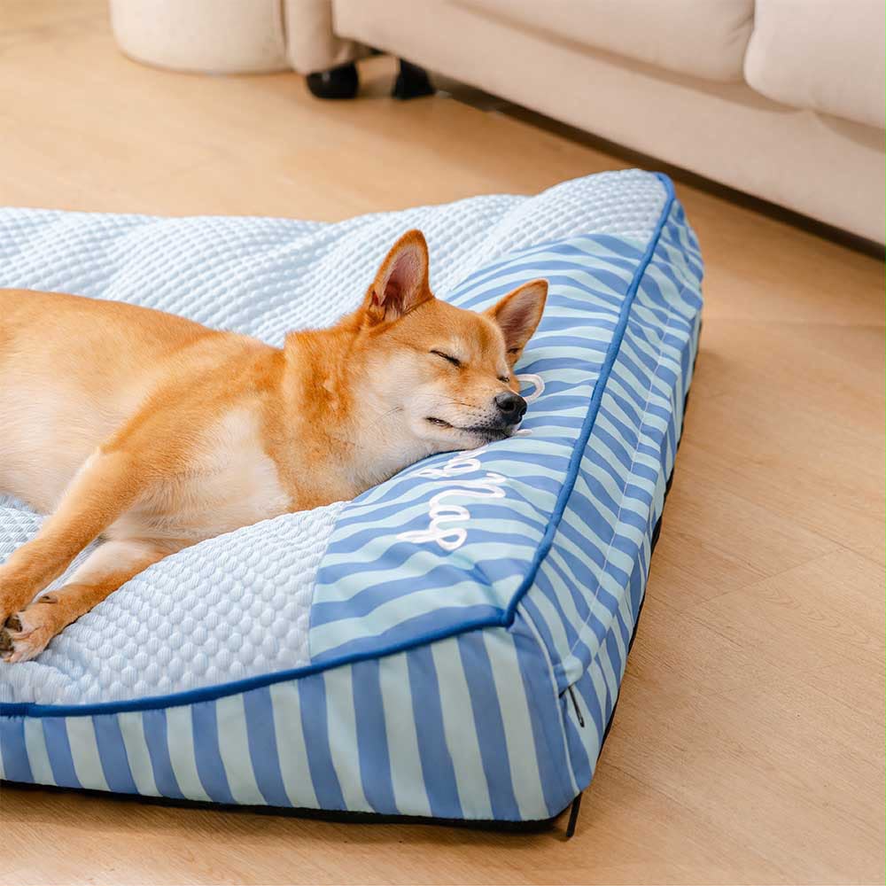 Chien lové dans le lit Quiétou bleu ciel, ambiance salon