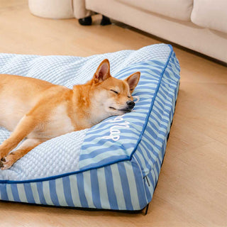 Chien lové dans le lit Quiétou bleu ciel, ambiance salon