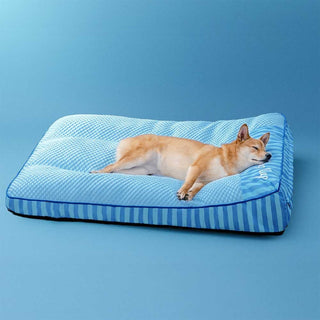 Lit orthopédique Quiétou bleu, chien au repos